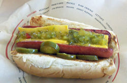 Jakes_wayback_dog