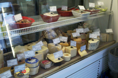 PATTYS_salads_and_cheese