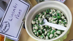 PATTYs_sampler_peas
