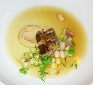 amuse_senate_bean_soup_crrf