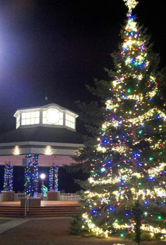 moon_xmas_tree_bandstand