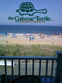 turtle_2