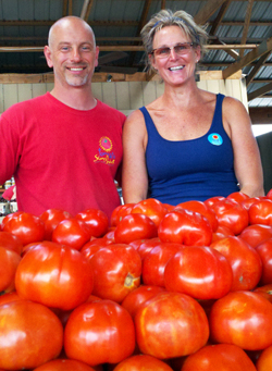 tomato sunshine people 2 rf
