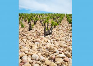 GSM Rocks Rock! | View More GSM Rocks Rock! | View More