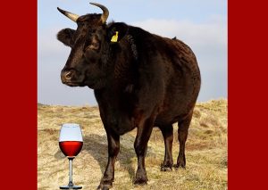 Price vs. Quality: Ask a Wagyu Cow! | View More Price vs. Quality: Ask a Wagyu Cow! | View More